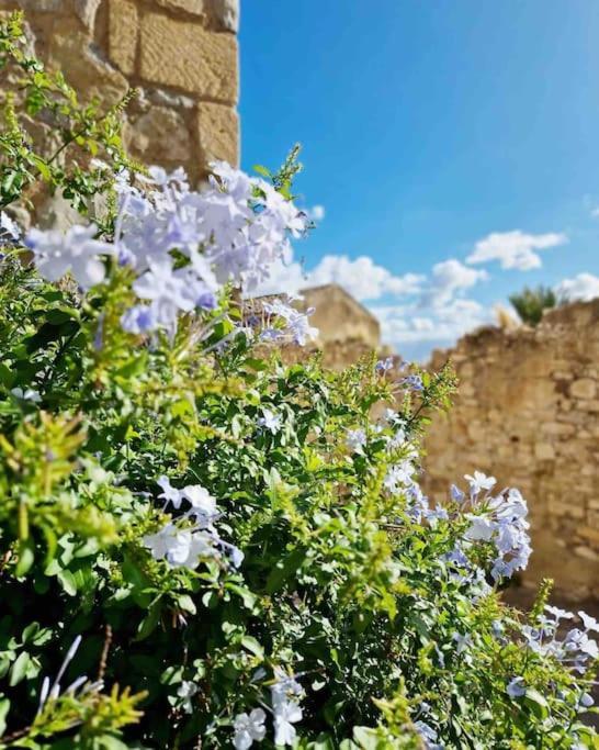 Villa Casa Al Plumbago Termini Imerese Exterior foto